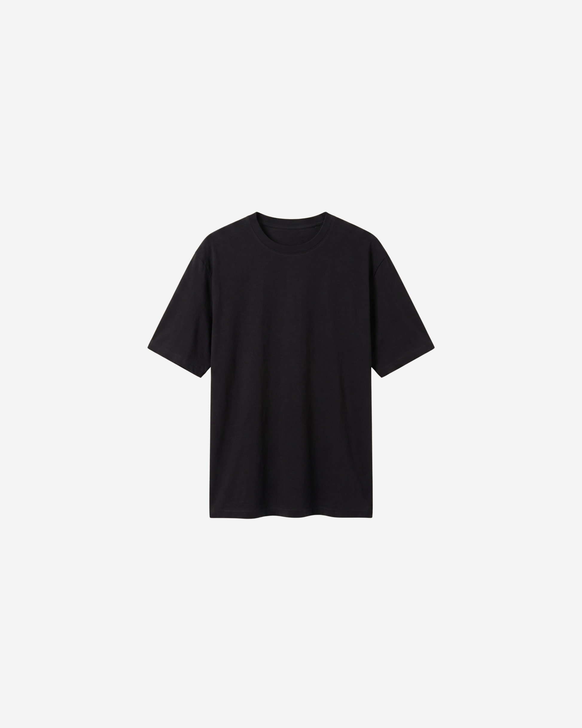 BASIC KATOENEN T-SHIRT - 2184