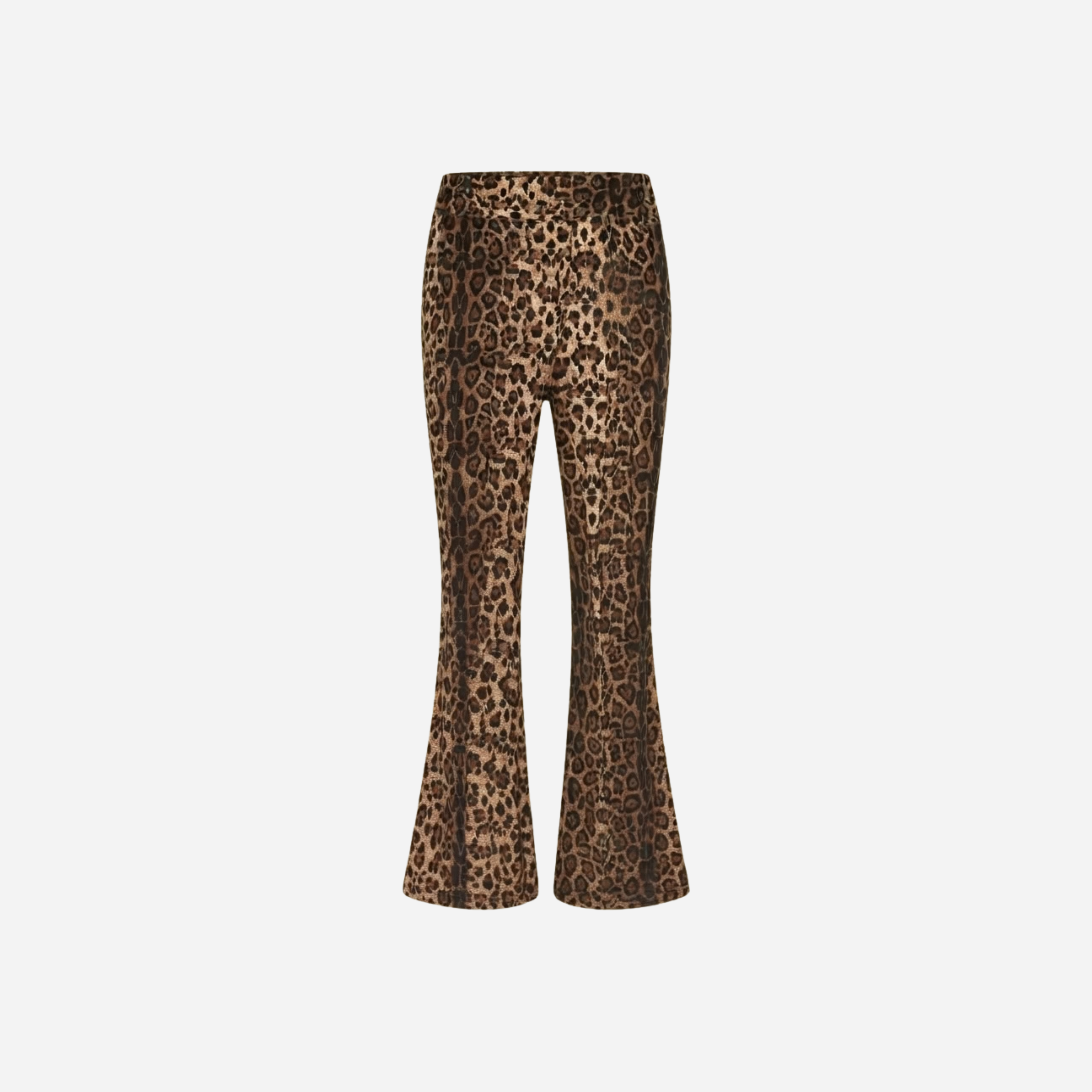 PANTER FLARED