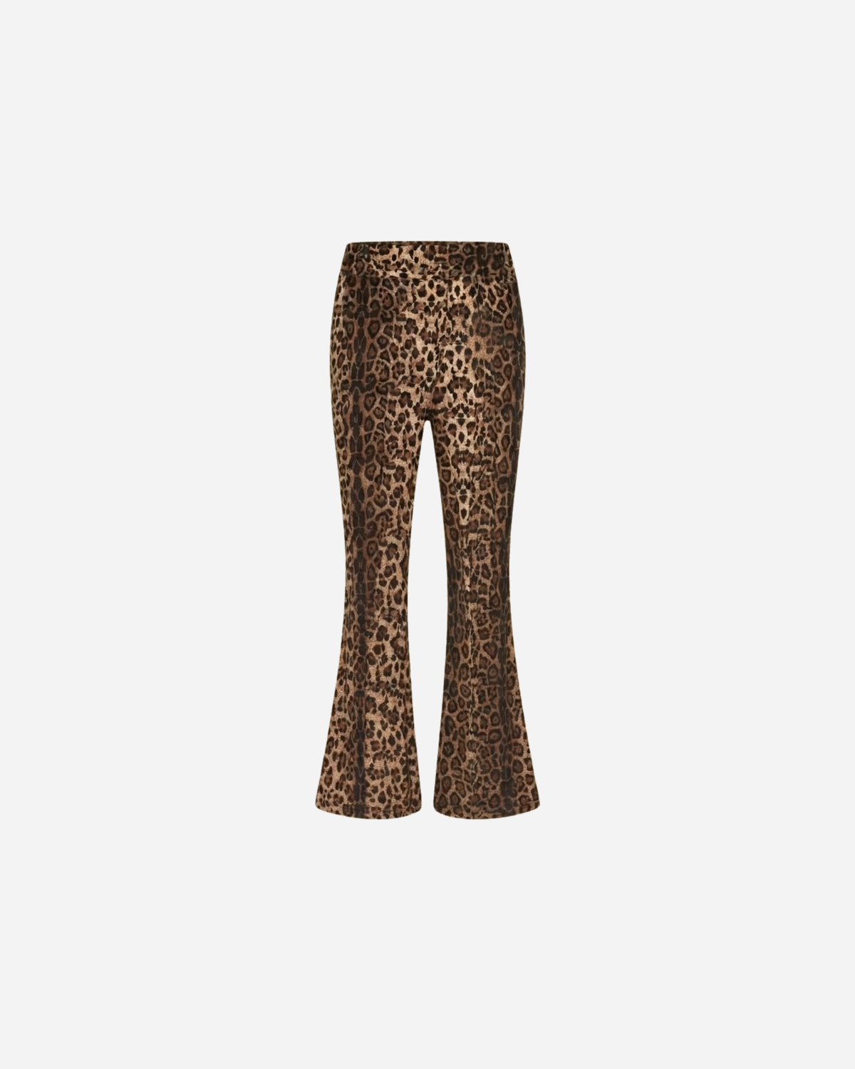 PANTER FLARED