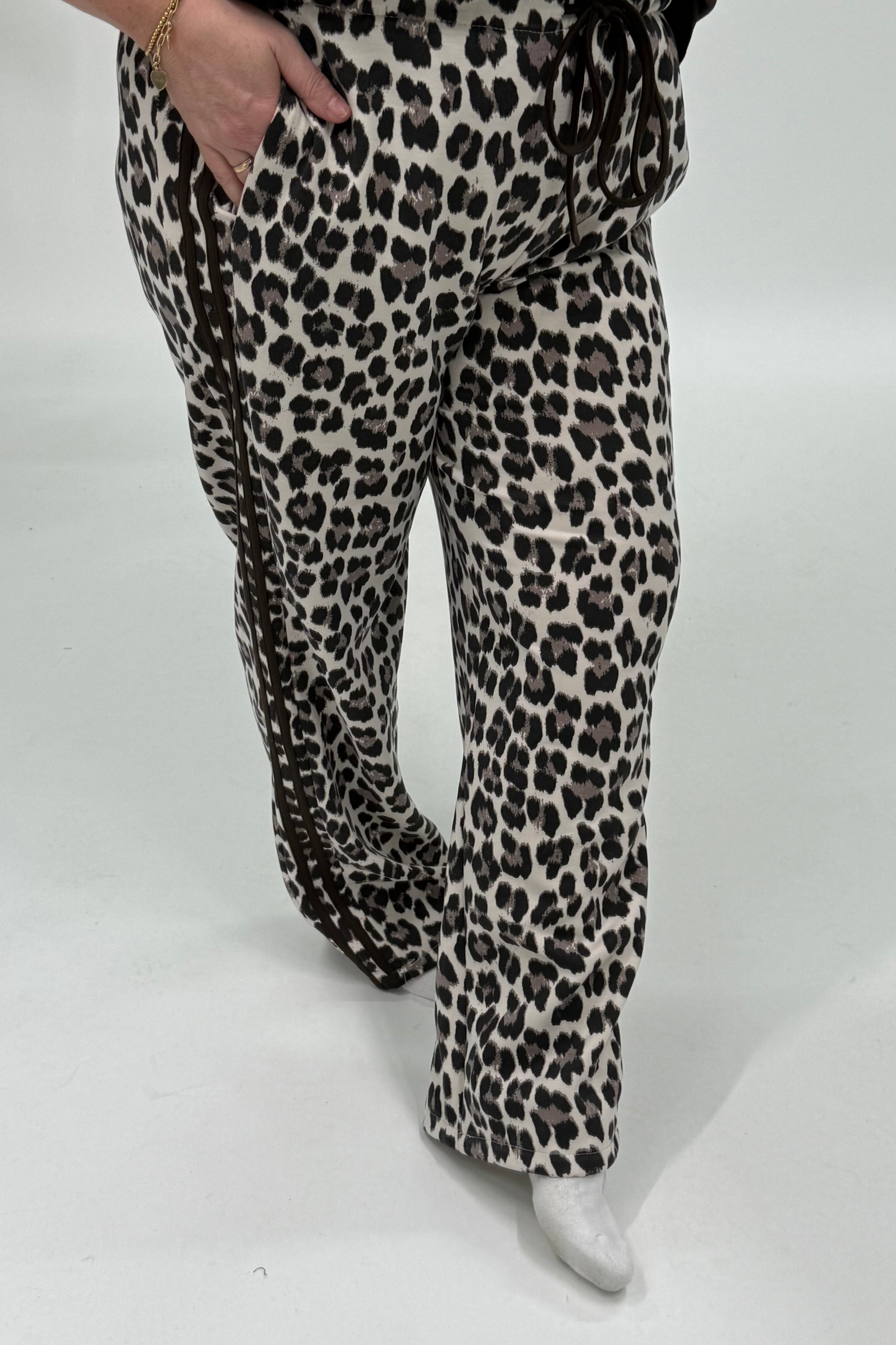 SPORTI PANTER JOGGER ESPRESSO